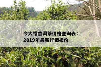 今大福普洱茶价格查询表：2019年最新行情报价