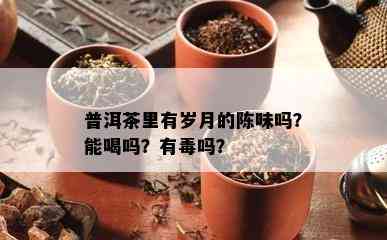 普洱茶里有岁月的陈味吗？能喝吗？有吗？