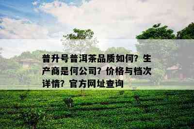 普升号普洱茶品质如何？生产商是何公司？价格与档次详情？官方网址查询