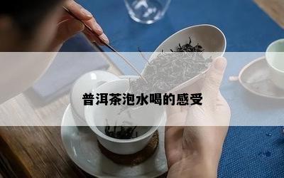 普洱茶泡水喝的感受