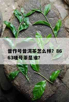 普作号普洱茶怎么样？8663唛号茶是谁？