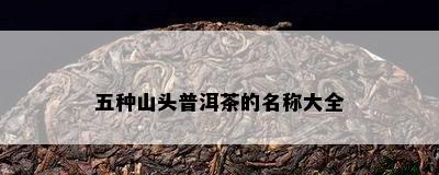 五种山头普洱茶的名称大全