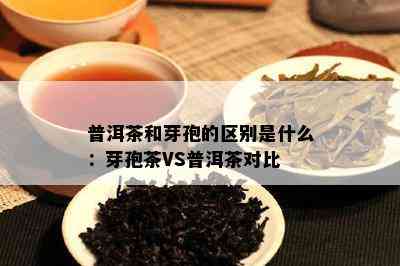 普洱茶和芽孢的区别是什么：芽孢茶VS普洱茶对比