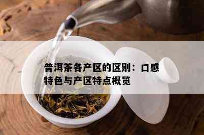 普洱茶各产区的区别：口感特色与产区特点概览