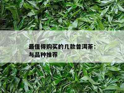 最值得购买的几款普洱茶：与品种推荐