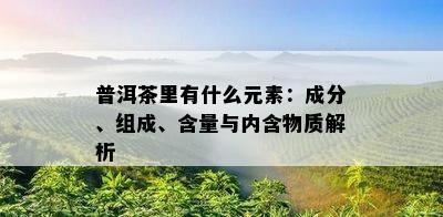 普洱茶里有什么元素：成分、组成、含量与内含物质解析