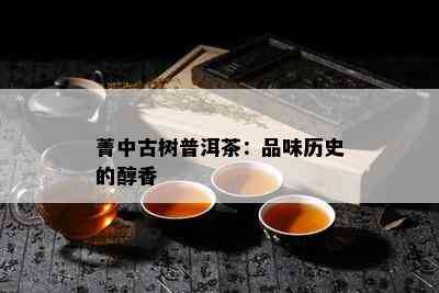 菁中古树普洱茶：品味历史的醇香