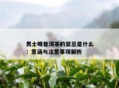 男士喝普洱茶的禁忌是什么：意涵与注意事项解析