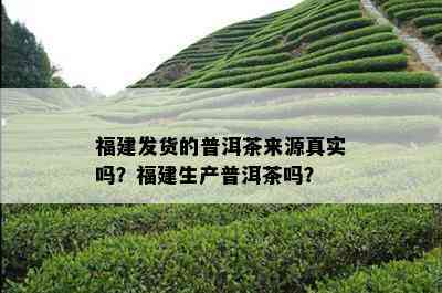 福建发货的普洱茶来源真实吗？福建生产普洱茶吗？