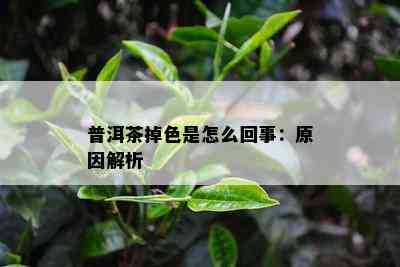 普洱茶掉色是怎么回事：原因解析