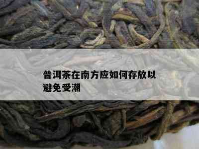 普洱茶在南方应如何存放以避免受潮