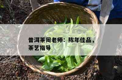 普洱茶周老师：陈年佳品，茶艺指导