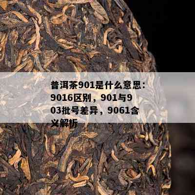 普洱茶901是什么意思：9016区别，901与903批号差异，9061含义解析