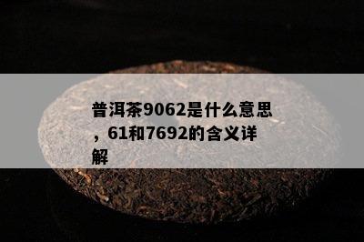 普洱茶9062是什么意思，61和7692的含义详解