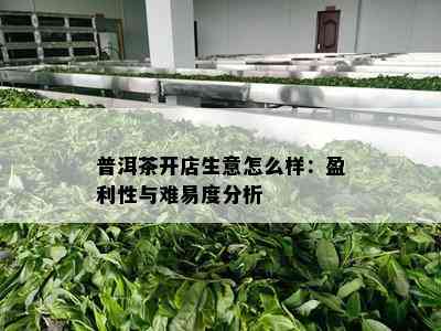 普洱茶开店生意怎么样：盈利性与难易度分析