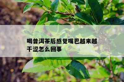 喝普洱茶后感觉嘴巴越来越干涩怎么回事