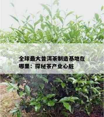 全球更大普洱茶制造基地在哪里：探秘茶产业心脏