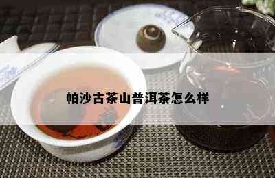 帕沙古茶山普洱茶怎么样