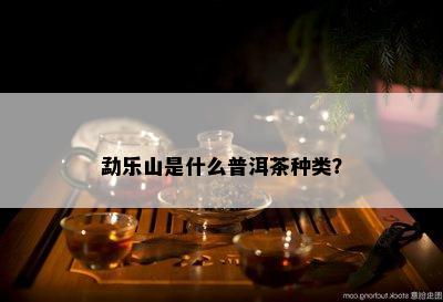 勐乐山是什么普洱茶种类？