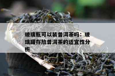 玻璃瓶可以装普洱茶吗：玻璃罐存放普洱茶的适宜性分析