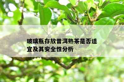 玻璃瓶存放普洱熟茶是否适宜及其安全性分析