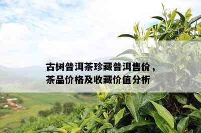 古树普洱茶珍藏普洱售价，茶品价格及收藏价值分析