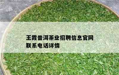 王霞普洱茶业招聘信息官网联系电话详情