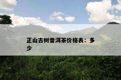 正山古树普洱茶价格表：多少