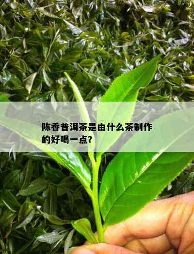 陈香普洱茶是由什么茶制作的好喝一点？