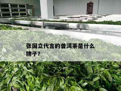 张国立代言的普洱茶是什么牌子？