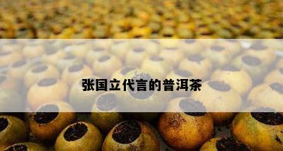 张国立代言的普洱茶