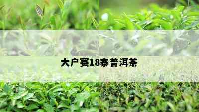 大户赛18寨普洱茶