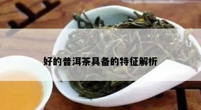 好的普洱茶具备的特征解析