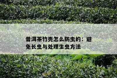 普洱茶竹壳怎么防虫的：避免长虫与处理生虫方法