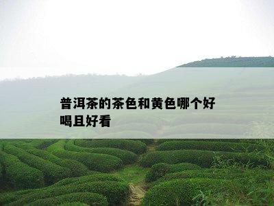 普洱茶的茶色和黄色哪个好喝且好看