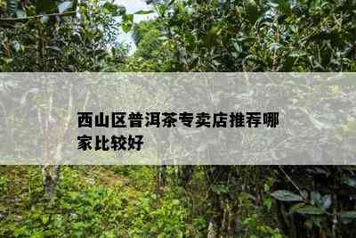 西山区普洱茶专卖店推荐哪家比较好