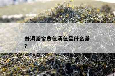 普洱茶金黄色汤色是什么茶？