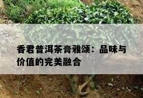 香君普洱茶膏雅颂：品味与价值的完美融合