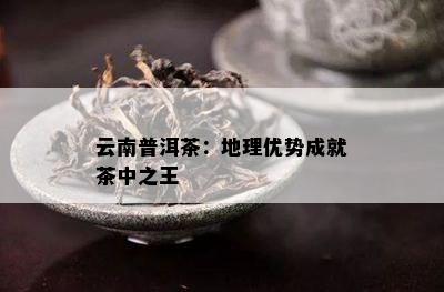 云南普洱茶：地理优势成就茶中之王