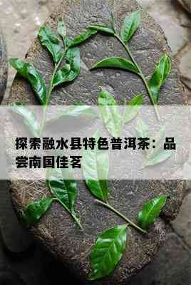 探索融水县特色普洱茶：品尝南国佳茗