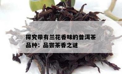 探究带有兰花香味的普洱茶品种：品尝茶香之谜