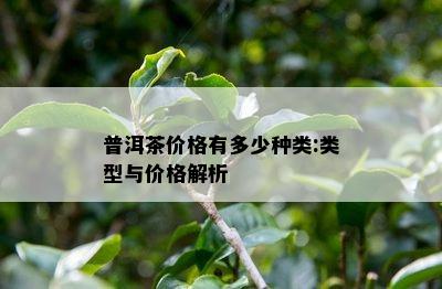 普洱茶价格有多少种类:类型与价格解析