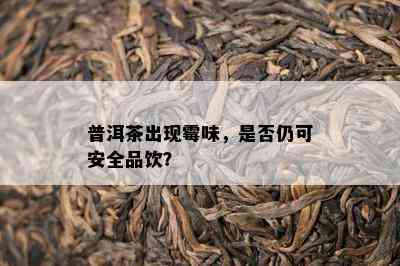 普洱茶出现霉味，是否仍可安全品饮？