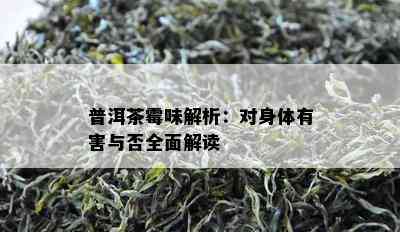 普洱茶霉味解析：对身体有害与否全面解读