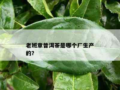 老班章普洱茶是哪个厂生产的？