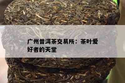 广州普洱茶交易所：茶叶爱好者的天堂