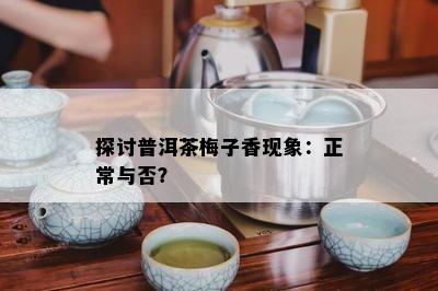 探讨普洱茶梅子香现象：正常与否？