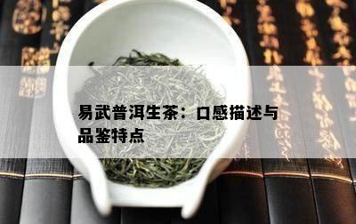 易武普洱生茶：口感描述与品鉴特点