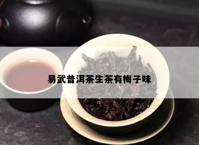 易武普洱茶生茶有梅子味