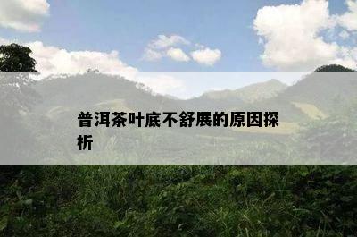 普洱茶叶底不舒展的原因探析